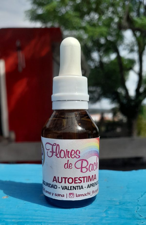 Flores Autoestima