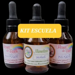 KIT ESCUELA KID